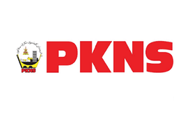 pkns logo